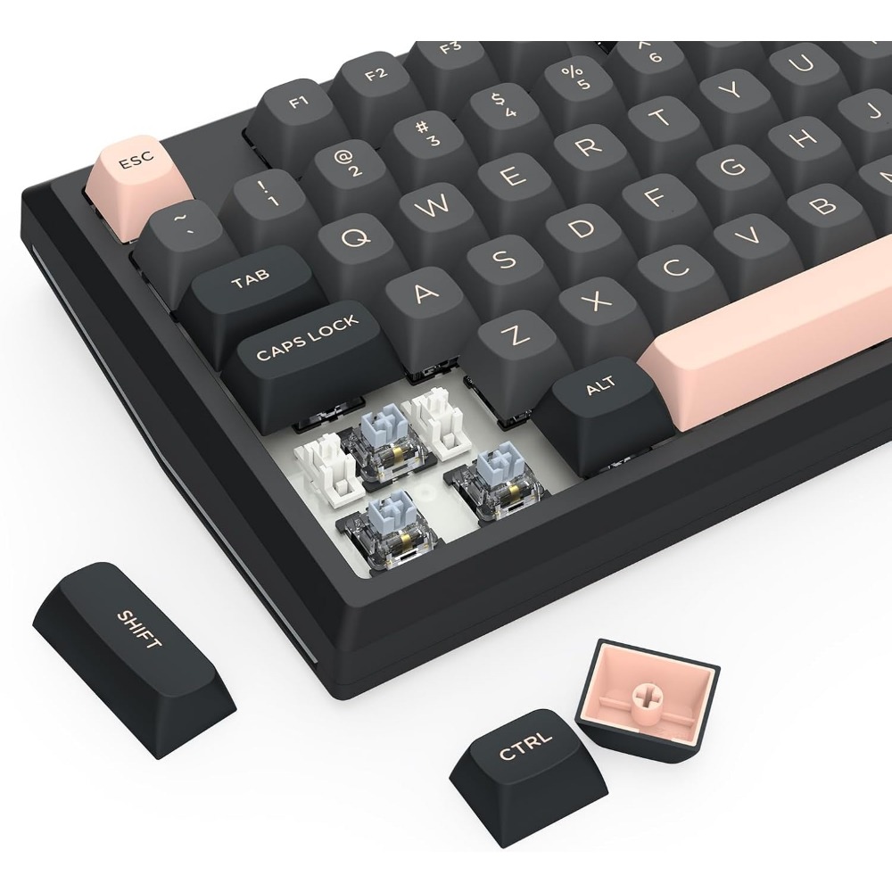 Wireless 81-Key Mechanical Gam - Gaming Keyboard No Noise review and price