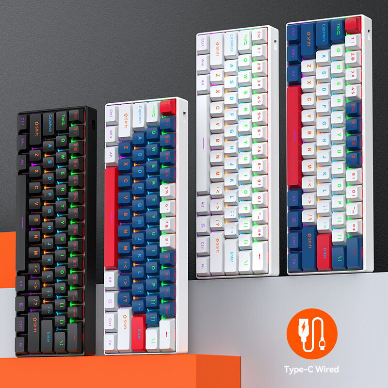 T-WOLF T60 61 Keys Mini Mechan - Gaming Keyboard Not Typing review and price