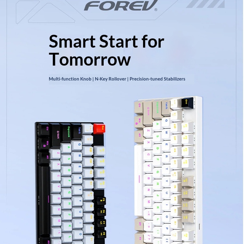 Fvq600 Esports Gaming Mechanic - Gaming Keyboard Not Typing review and price